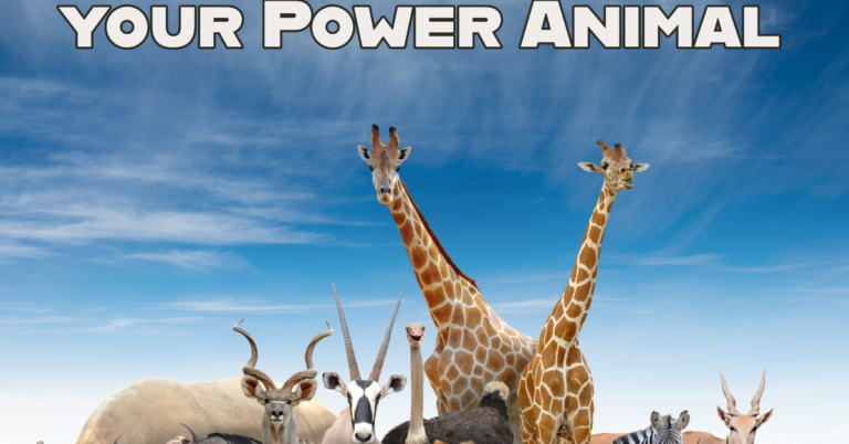 conscious power animal 768x402