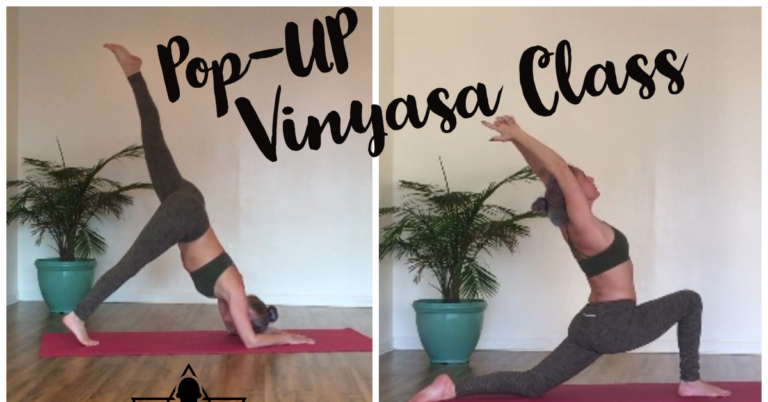 december pop up 768x402