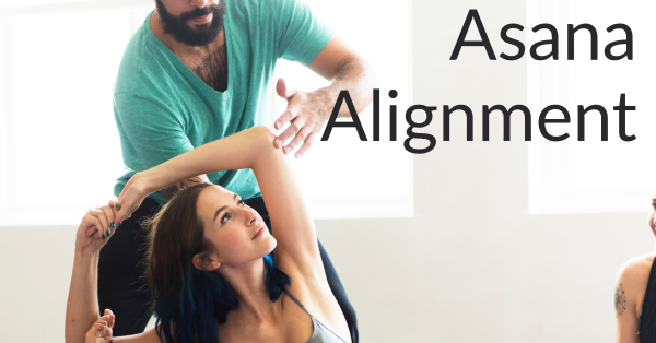conscious asana alignment 1