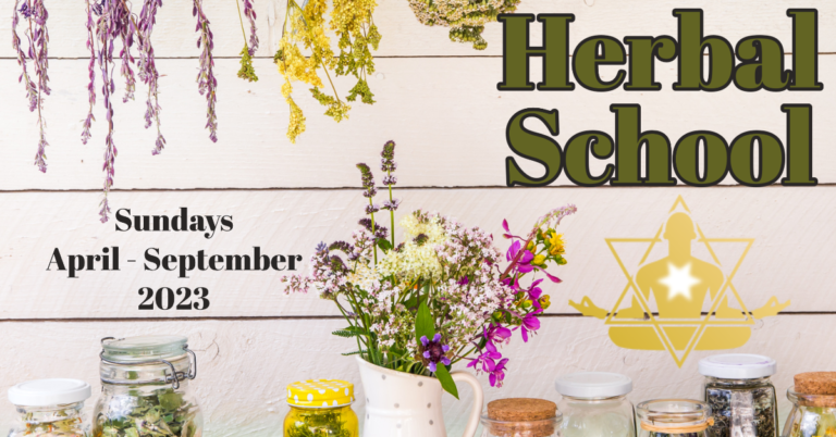 conscious herbal school 768x402