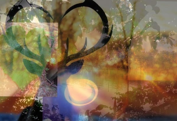 293259557 466129415516305 4529480836326144507 n