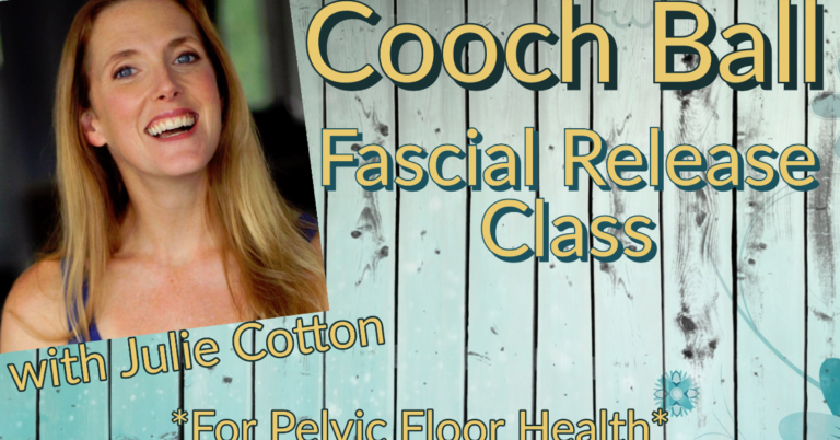 conscious cooch 768x402