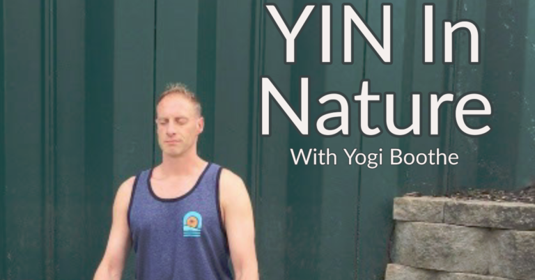 conscious yin 768x402