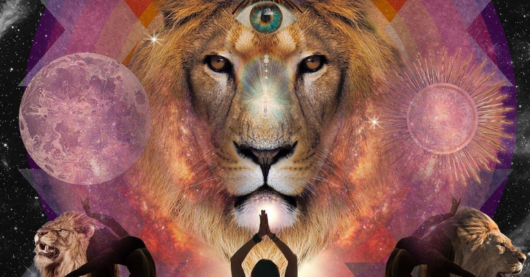 conscious lionsgate portal 768x402