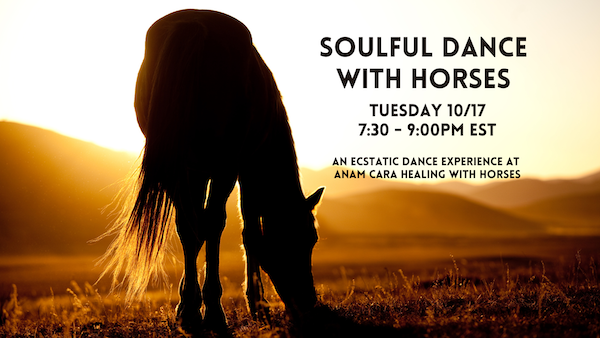 soulful dance with horses