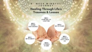 6weekjounrye 300x169