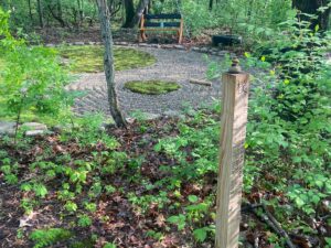 327809301 1113867802622963 1783749080312834488 n 300x225