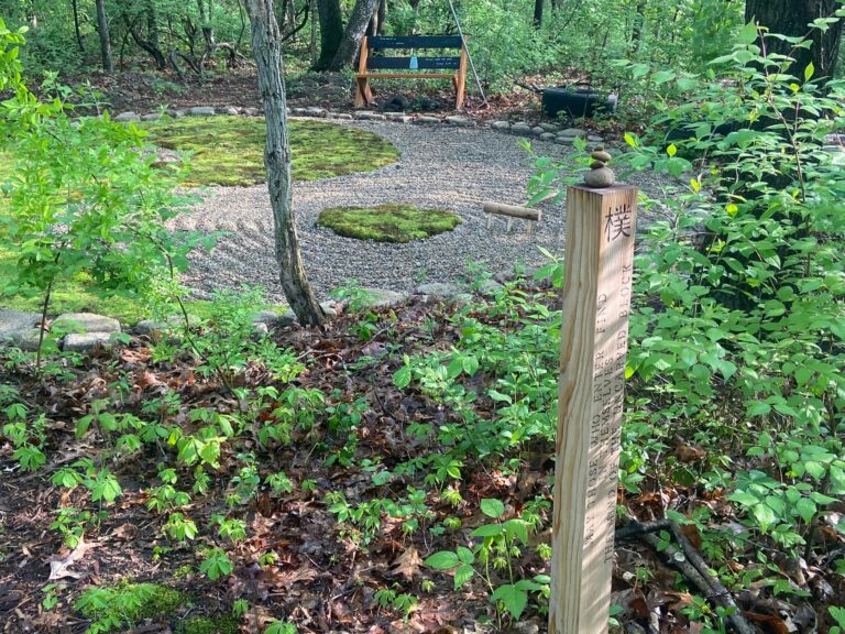 327809301 1113867802622963 1783749080312834488 n 768x576