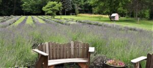 448398519 974627347788602 3567688413488391448 n 300x134