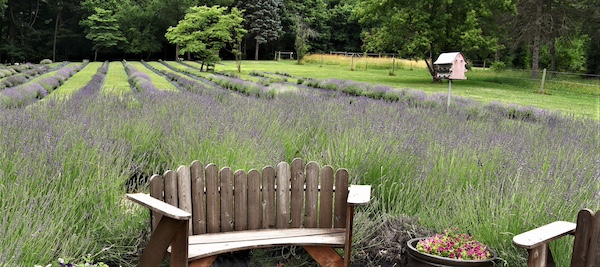 448398519 974627347788602 3567688413488391448 n