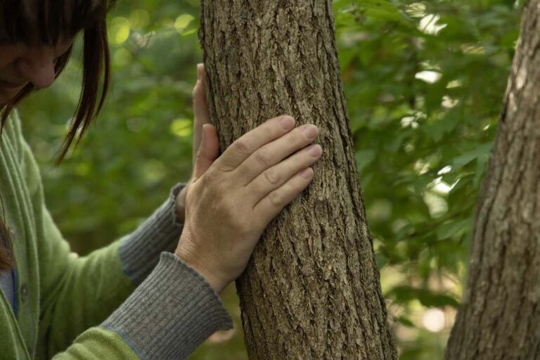 Forest Bathing Nature Therapy MI Pic 7 Page 1 Image 0001 768x512