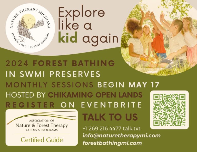 Forest bathing Postcard COL 768x593