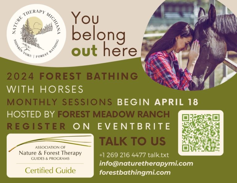Forest bathing2024 postcard FMR 768x593