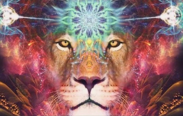 453819869 466792982886620 1816410394131606812 n