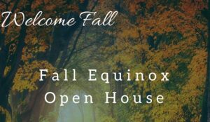 457653990 483986811167237 6759121276540609716 n 300x174