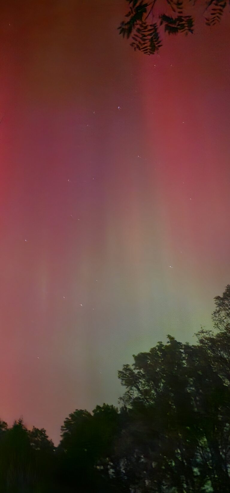 20241010 221302 768x1645