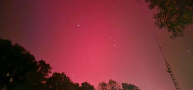 20241010 221441 768x359