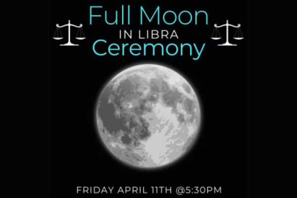 CM website Profile Template 5