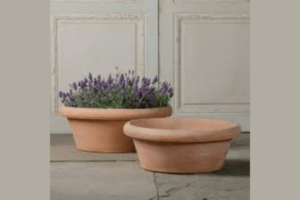 womens circle 300x200