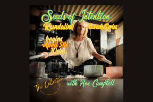 CM Site Images 9 300x200