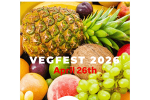 vegfest 300x200